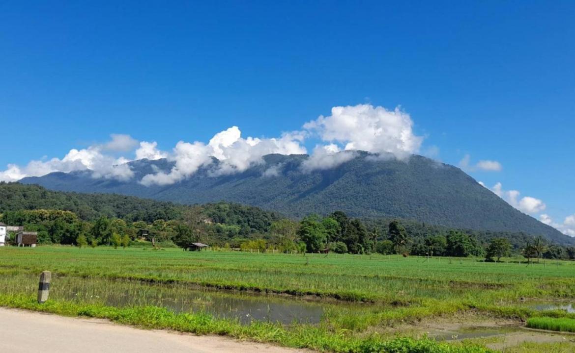 Born Guest House Chiang Mai Luaran gambar